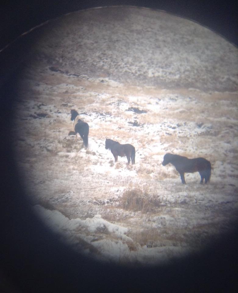 Sauðanes.2014 tekið í gegnum kíki