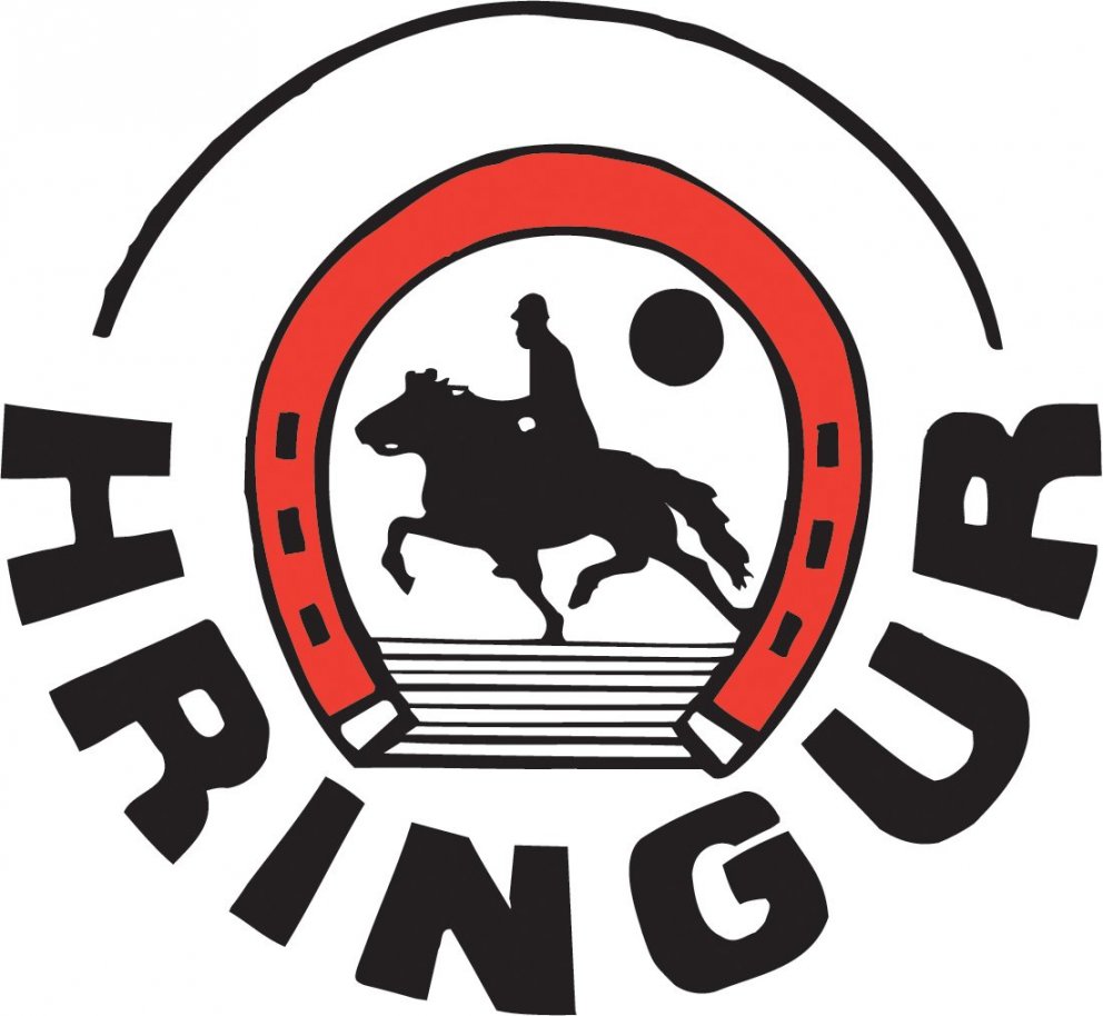 Fyrirlestur í Hringsholti