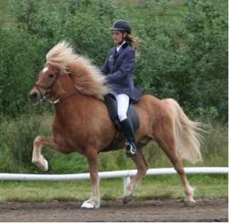 Anna Kristín hestaíþróttamaður UMSE 2010