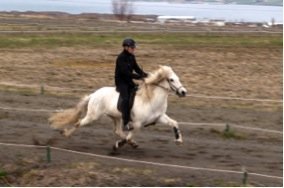 Heimsmeistaramótsfari 2017