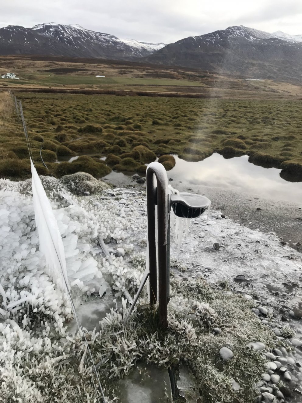 sprunginn brynningardallur