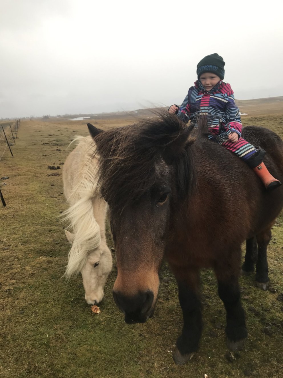 Opnun hólfa í Hringsholti