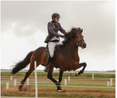 Sýnikennsla í Hringsholti