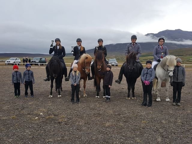 Úrslit í fjórgangi V2 Ungmenna