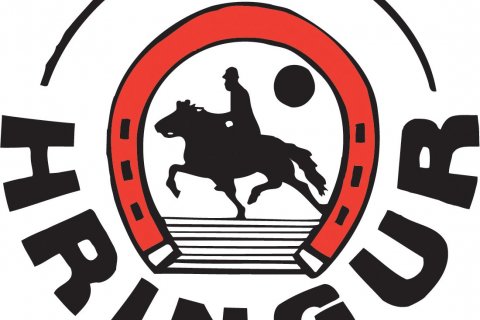 Fyrirlestur í Hringsholti