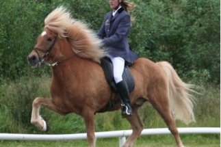 Anna Kristín hestaíþróttamaður UMSE 2010