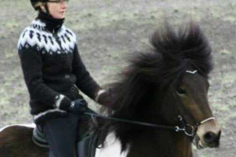 Reiðnámskeið með Önnu Kristínu Friðriksdóttur