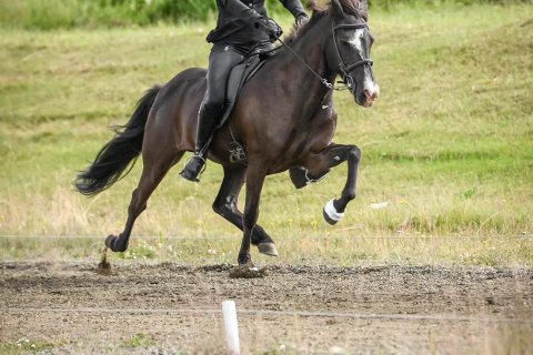 Reiðnámskeið með Önnu Kristínu