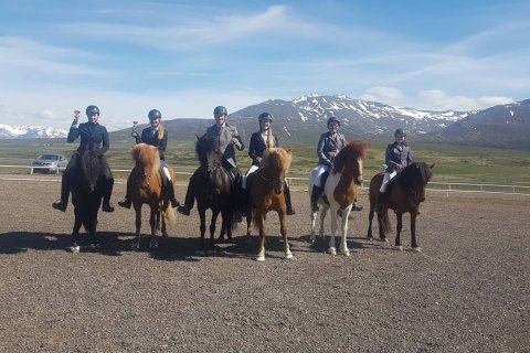 Úrslit í B-flokki ungmenna