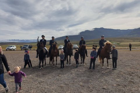 Úrslit í fimmgangi F2