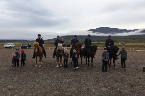 Úrslit í fjórgangi V1