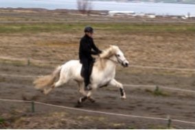 Heimsmeistaramótsfari 2017