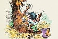 Lífið í Hringsholti