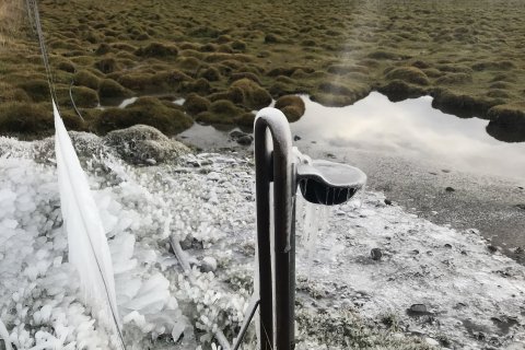 sprunginn brynningardallur