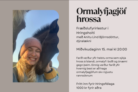 Fyrirlestur 15.maí kl.20:00