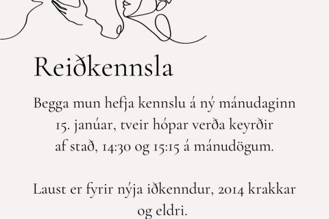 Reiðkennsla