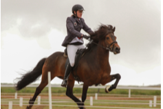 Sýnikennsla í Hringsholti