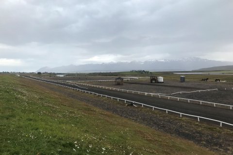 Að loknu Stórmóti Hrings