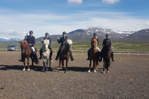 Úrslit í Tölti T1